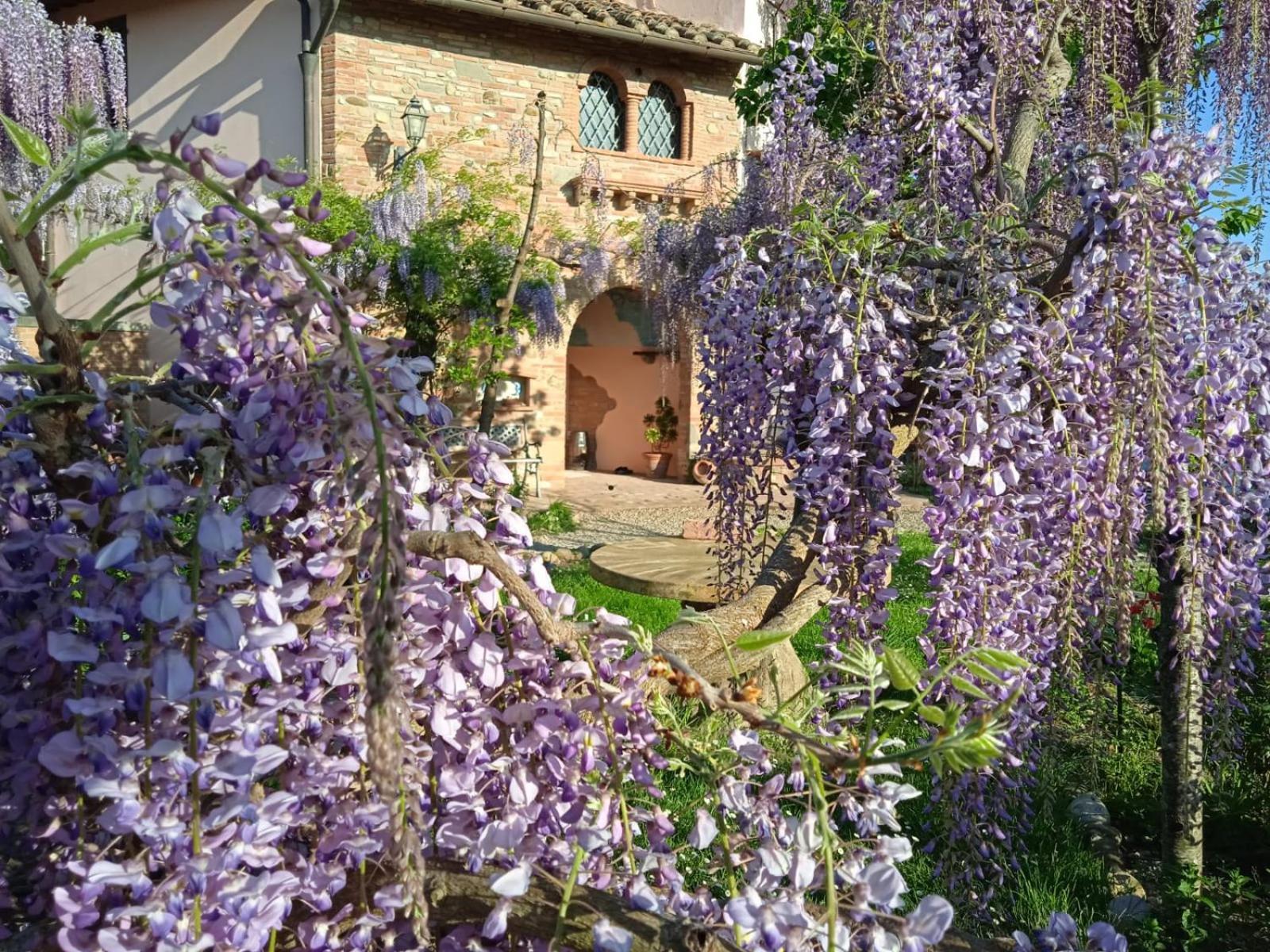 Apartmán Nido Di Rondine Montespertoli Exteriér fotografie