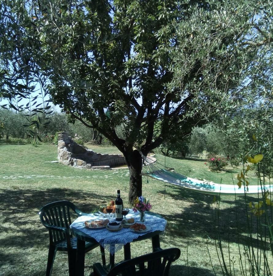 Apartmán Nido Di Rondine Montespertoli Exteriér fotografie